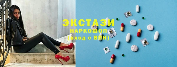 гидра Елабуга