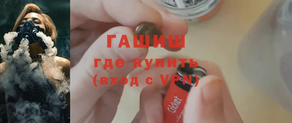 гидра Елабуга