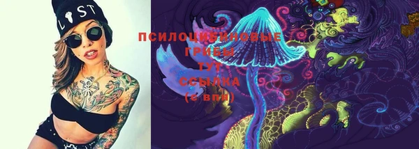 скорость Заводоуковск
